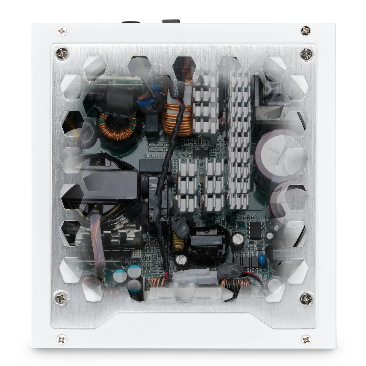 12_REVOLT_Vertex _WT